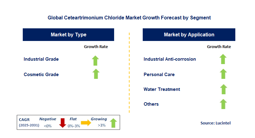 Ceteartrimonium Chloride Market by Segment