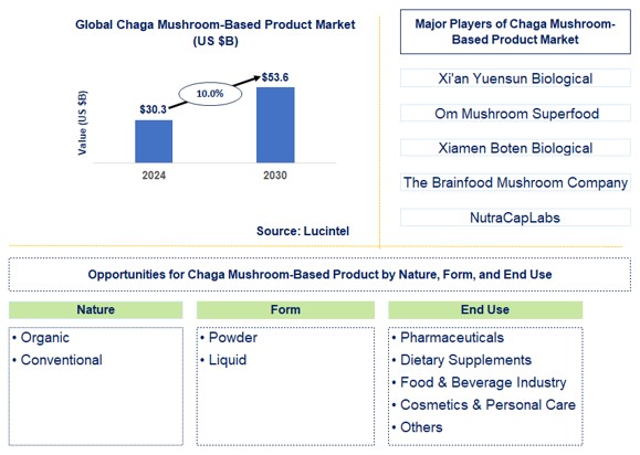 Chaga Mushroom-Based Product Trends and Forecast
