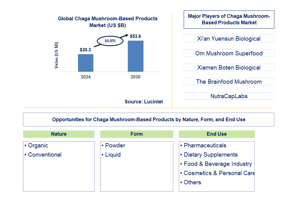 Chaga Mushroom-Based Products Trends and Forecast Chaga Mushroom-Based Products Trends and Forecast