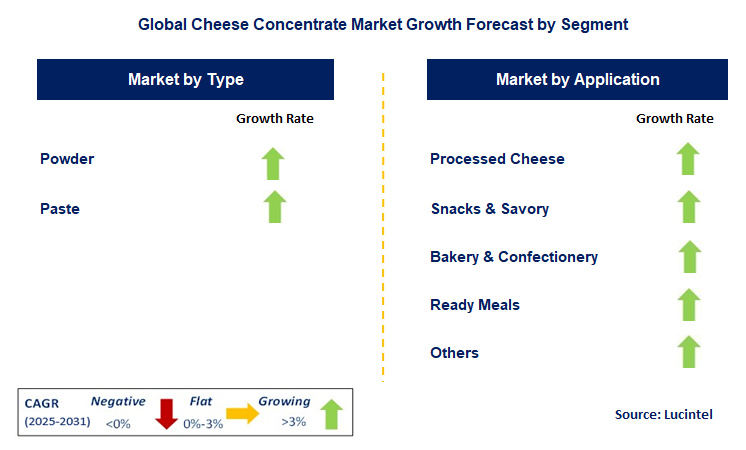 Cheese Concentrate Market by Segment