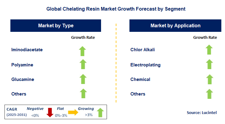 Chelating Resin Market by Segment