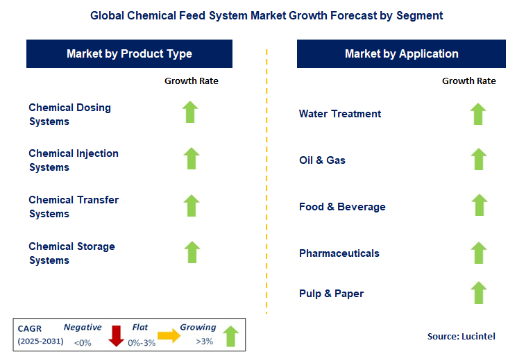 Chemical Feed System Market by Segment