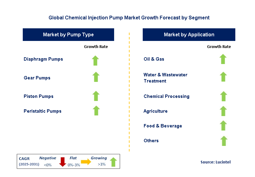 Chemical Injection Pump Market by Segment