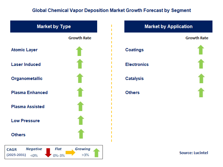 Chemical Vapor Deposition Market by Segment