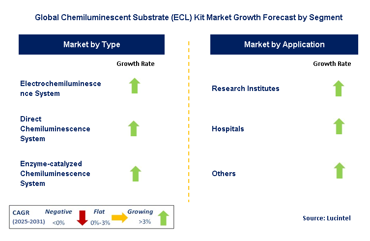 Chemiluminescent Substrate (ECL) Kit Market by Segment