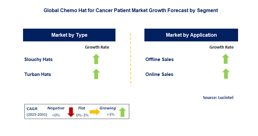 Chemo Hat for Cancer Patient Market by Segment