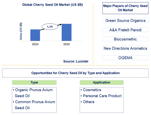 Cherry Seed Oil Market Trends and Forecast