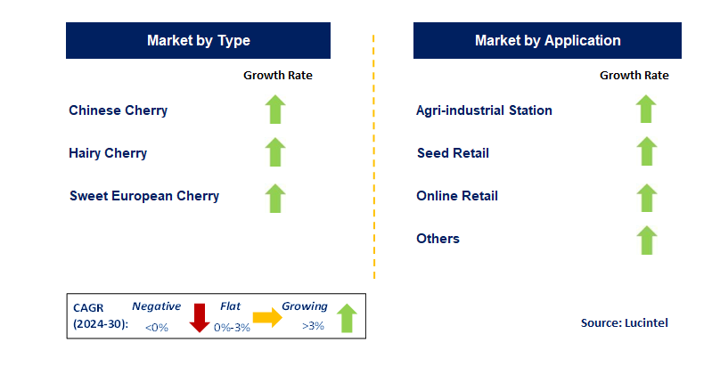 Cherry Seeds by Segment