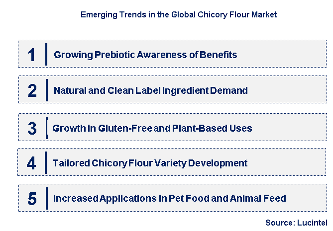 Emerging Trends in the Chicory Flour Market
