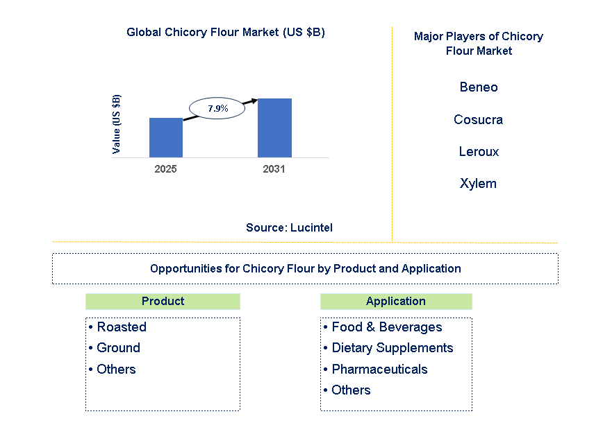 Chicory Flour Market Trends and Forecast