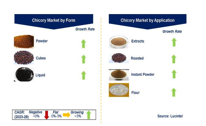 Chicory Market by Segments