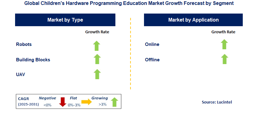 Children's Hardware Programming Education Market by Segment