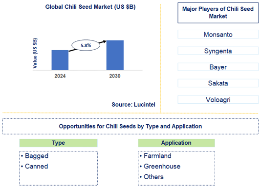 Chili Seed Market Trends and Forecast