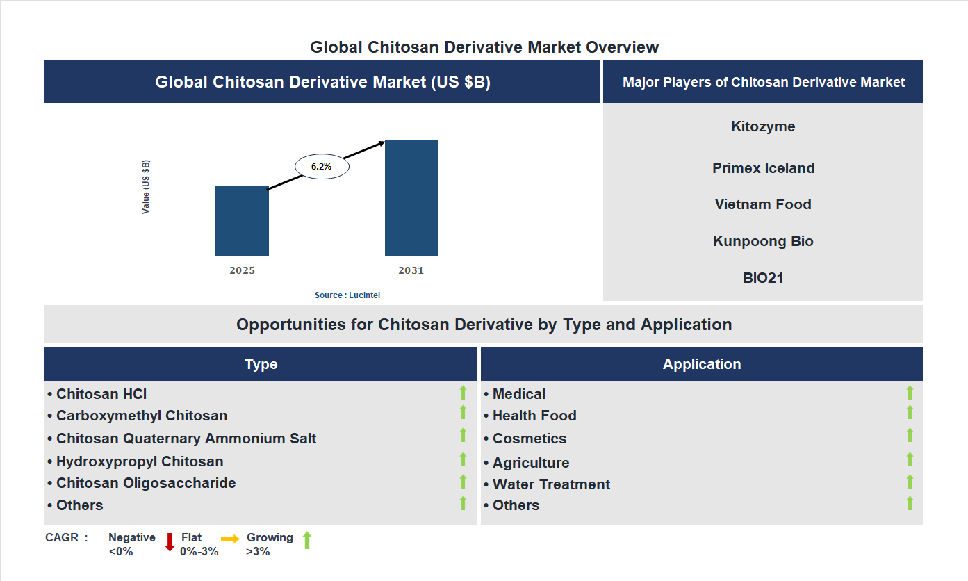 Chitosan Derivative Market Trends and Forecast