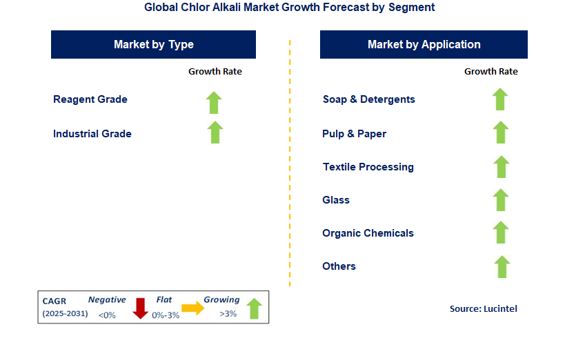 Chlor Alkali Market by Segment