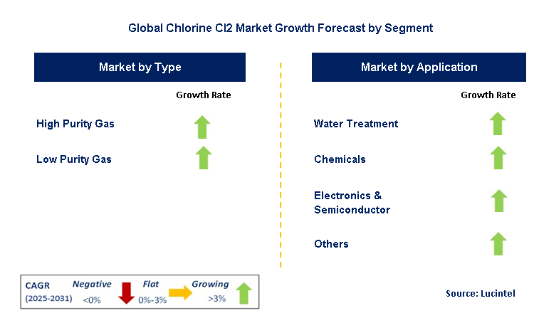 Chlorine Cl2 Market by Segment