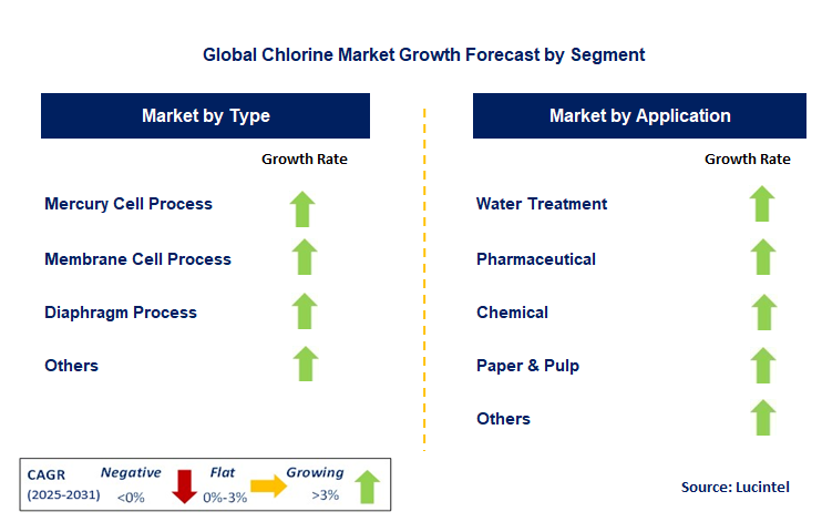 Chlorine Market by Segment