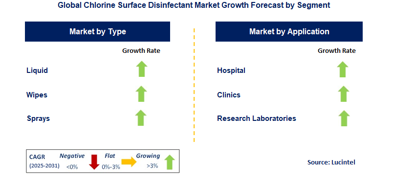 Chlorine Surface Disinfectant Market by Segment