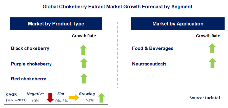 Chokeberry Extract Market by Segment