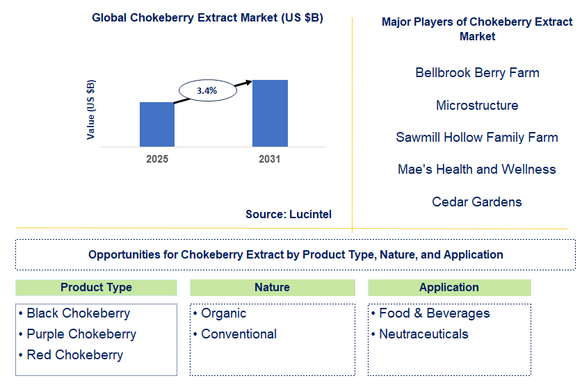 Chokeberry Extract Market Trends and Forecast