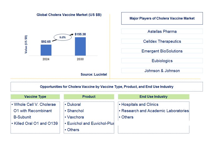 Cholera Vaccine Market by Vaccine Type, Product, and End Use Industry