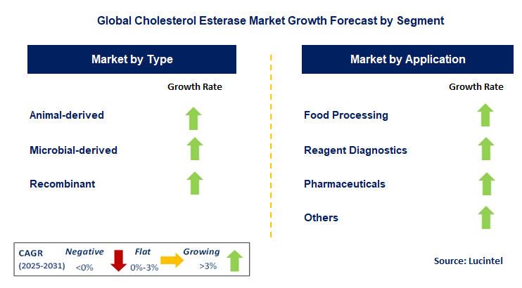 Cholesterol Esterase Market by Segment