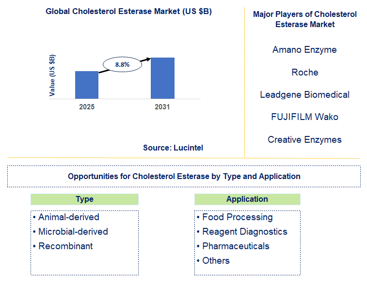 Cholesterol Esterase Market Trends and Forecast