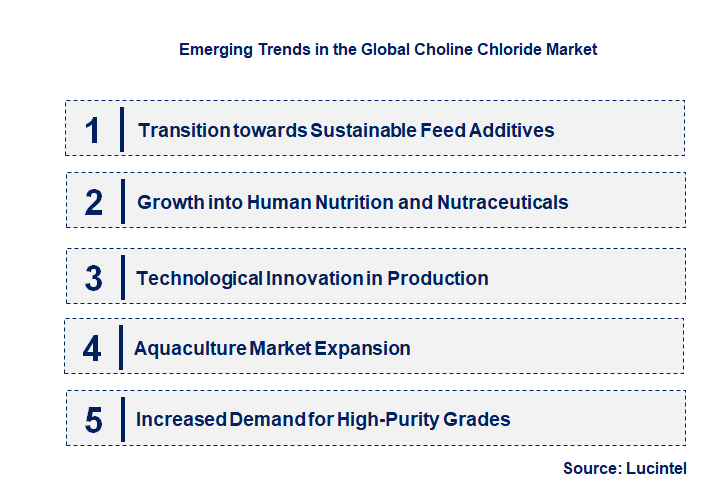 Emerging Trends in the Choline Chloride Market