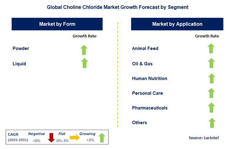 Choline Chloride Market by Segment