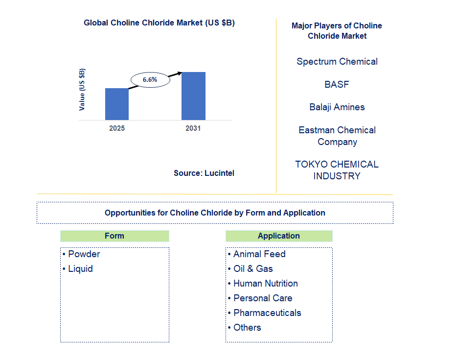 Choline Chloride Market Trends and Forecast