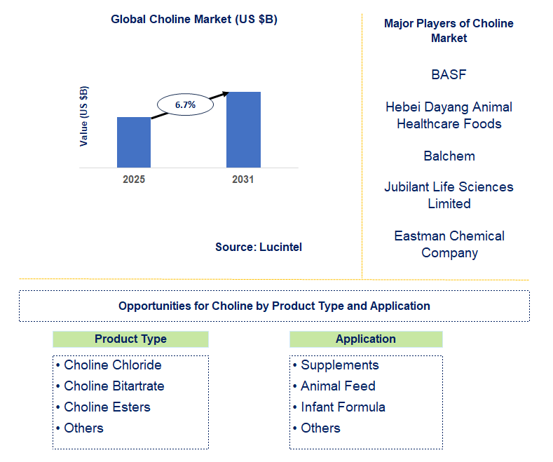 Choline Market Trends and Forecast