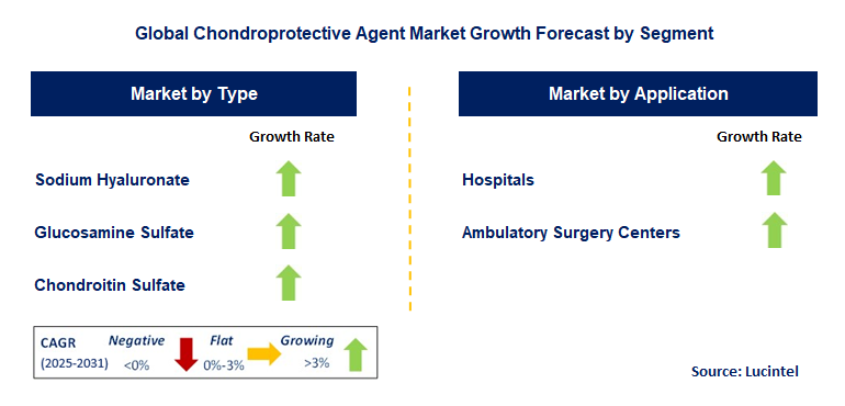 Chondroprotective Agent Market by Segment