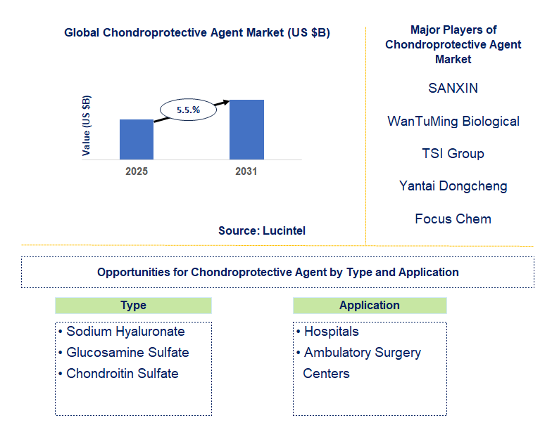 Chondroprotective Agent Market Trends and Forecast
