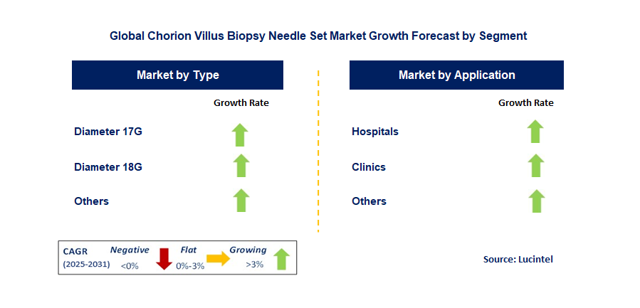 Chorion Villus Biopsy Needle Set Market by Segment