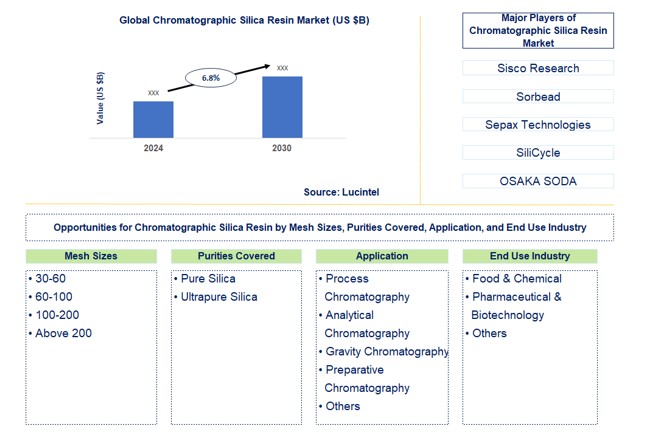Chromatographic Silica Resin Market by Mesh Sizes, Purities Covered, Application, and End Use Industry
