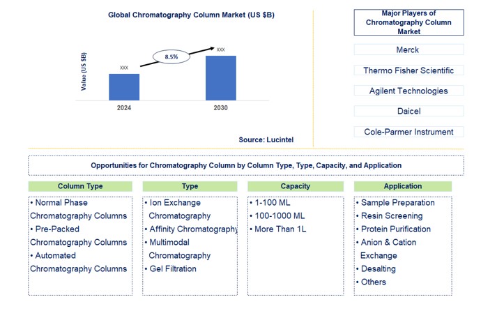 Chromatography Column Market by Column Type, Type, Capacity, and Application