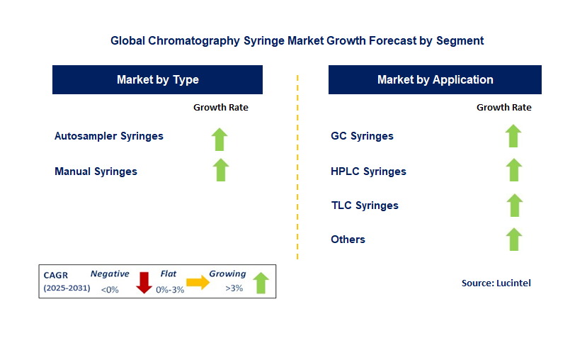 Chromatography Syringe Market by Segment