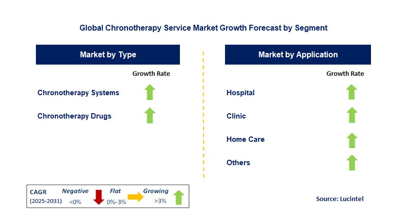 Chronotherapy Service Market by Segment