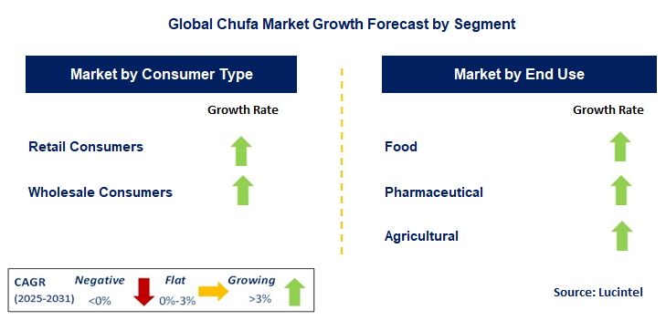 Chufa Market by Segment