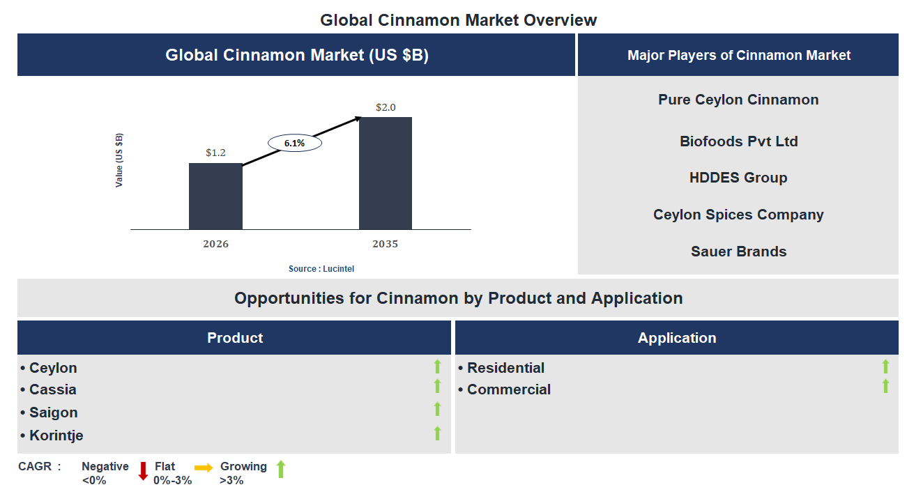 Cinnamon Market Trends and Forecast