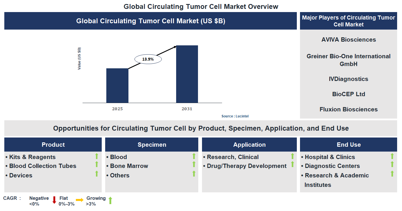Circulating Tumor Cell Market Trends and Forecast