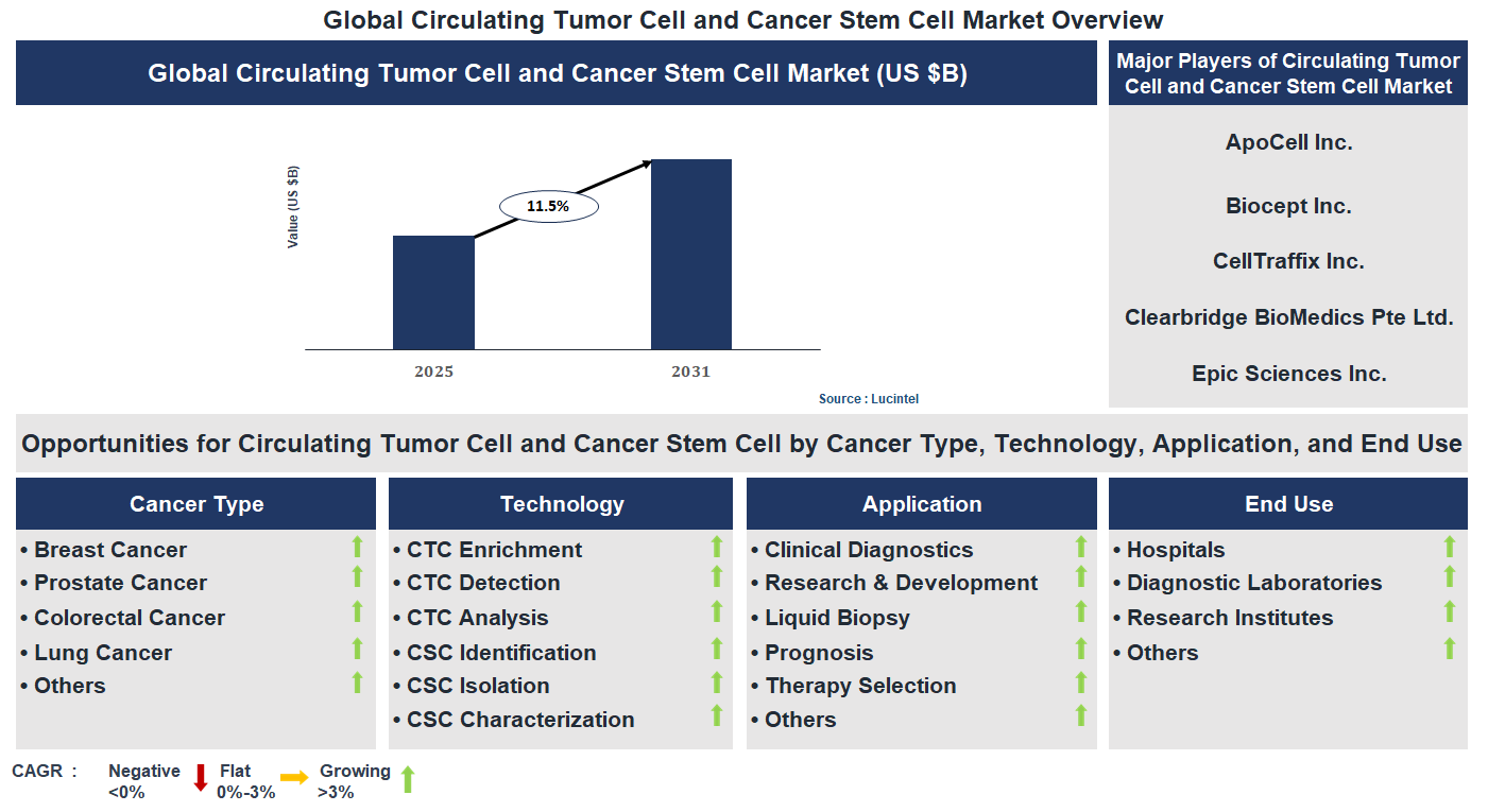 Circulating Tumor Cell and Cancer Stem Cell Market Trends and Forecast