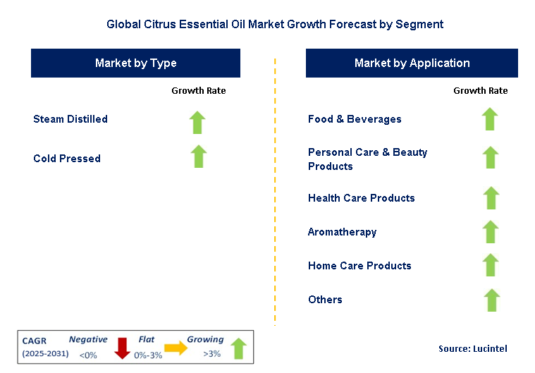Citrus Essential Oil Market by Segment