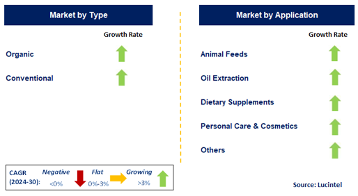 Citrus Seed Market by Segment