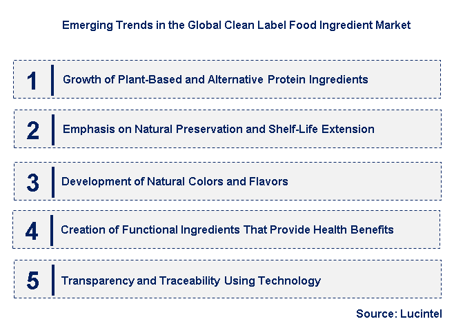 Emerging Trends in the Clean Label Food Ingredient Market