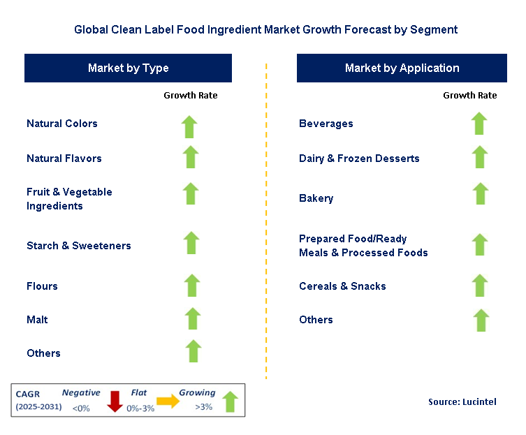 Clean Label Food Ingredient Market by Segment