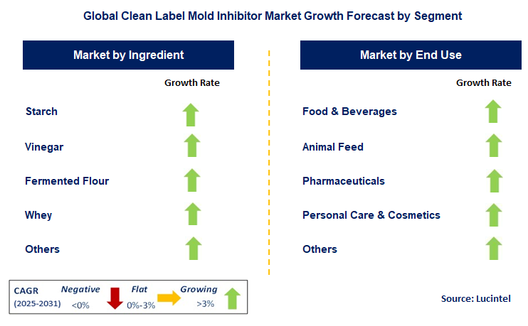 Clean Label Mold Inhibitor Market by Segment