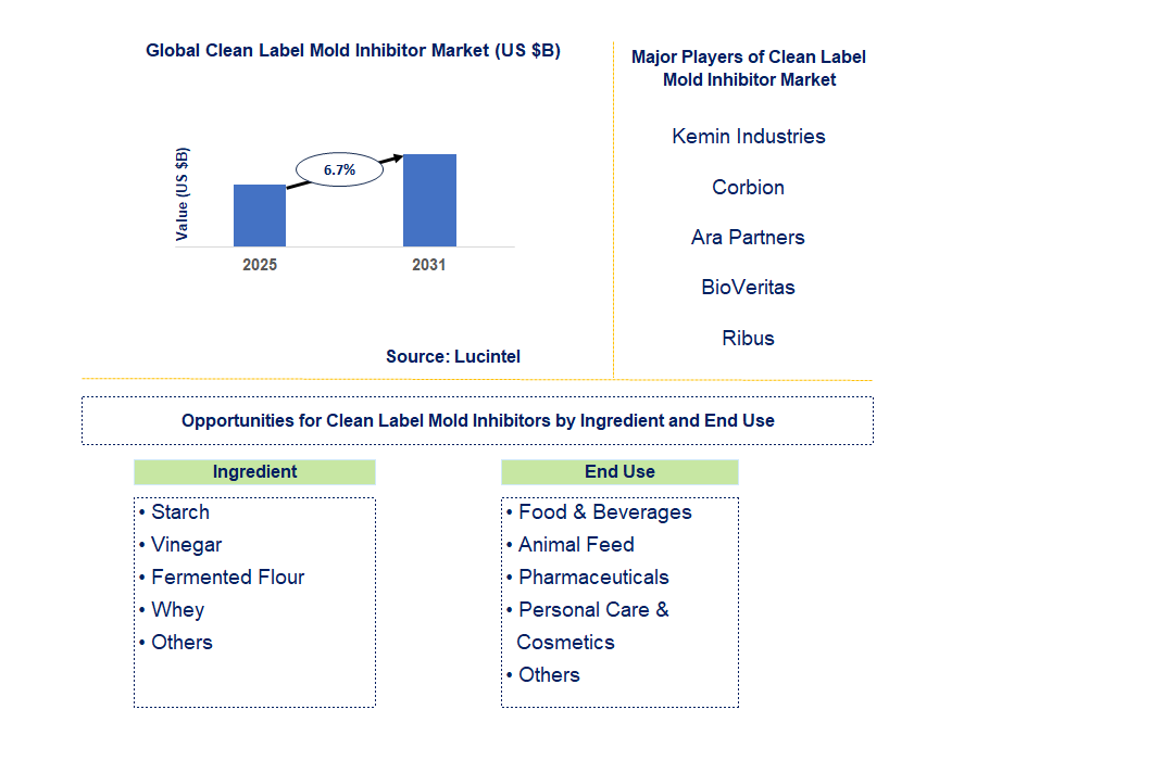 Clean Label Mold Inhibitor Market Trends and Forecast