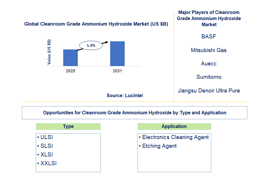 Cleanroom Grade Ammonium Hydroxide Market Trends and Forecast