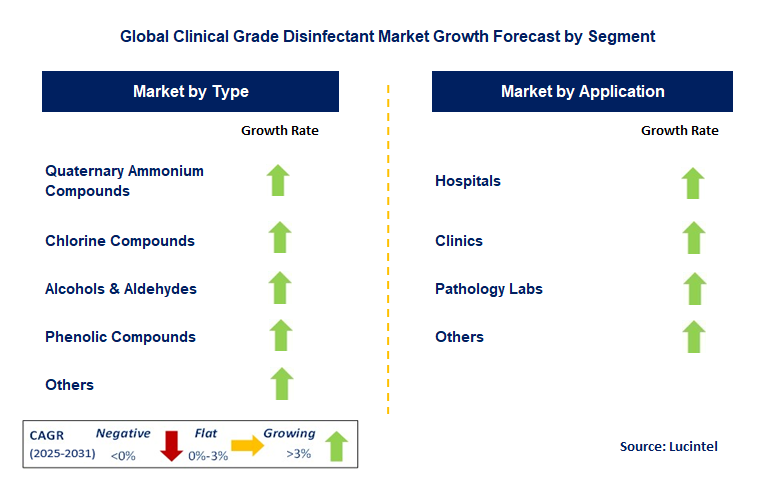Clinical Grade Disinfectant Market by Segment